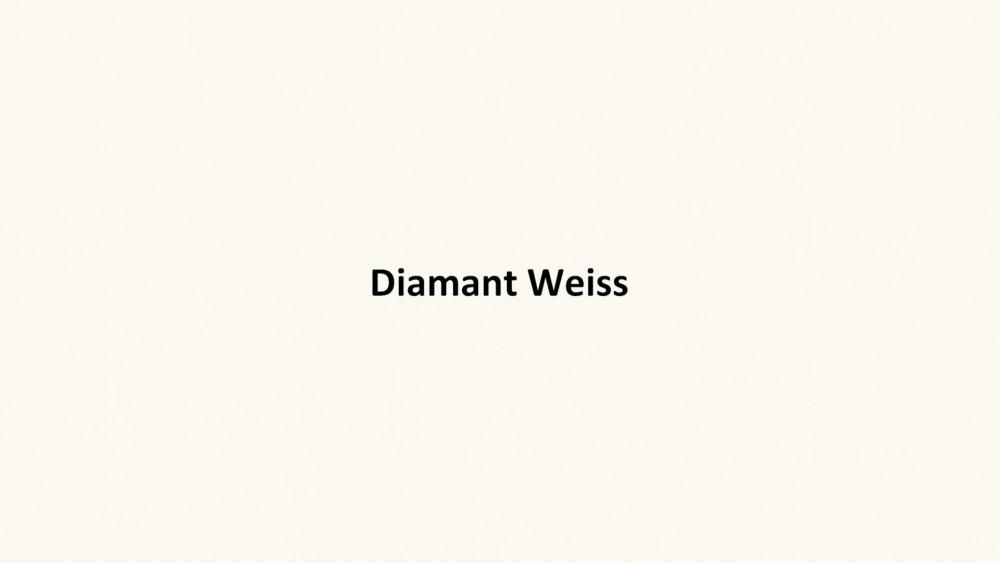 schnell